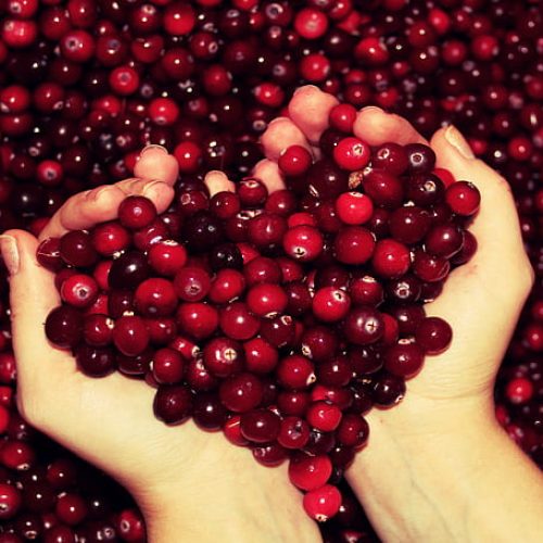fruit-cranberries-red-hands-wallpaper-preview